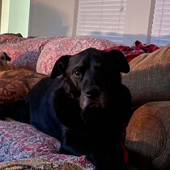 Meet your Posher, Leslie - Picture 12 of 13